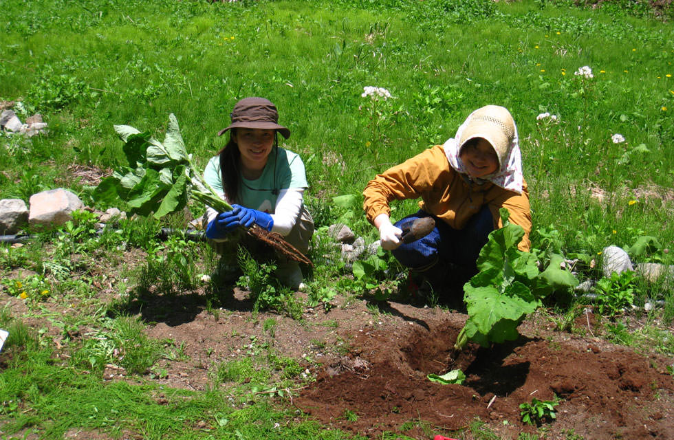 かたくりの宿 野菜