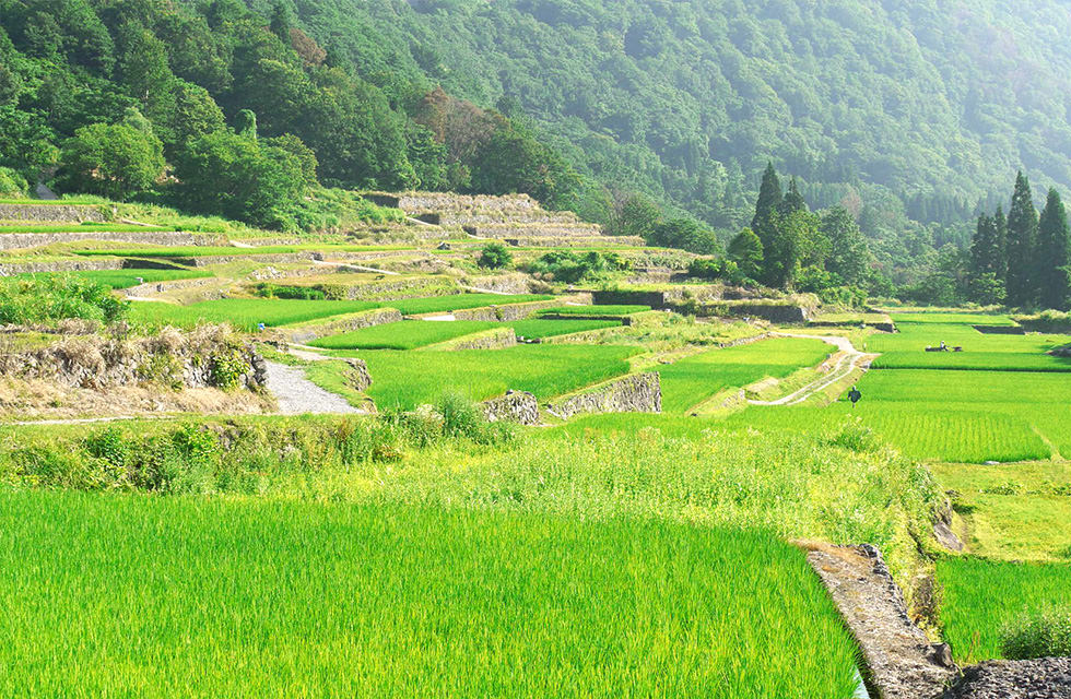 感じる 秋山郷結東温泉 かたくりの宿