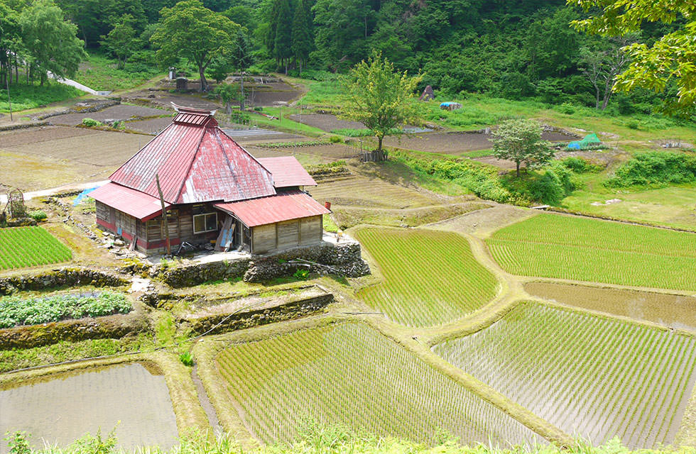 かたくりの宿　秋山郷