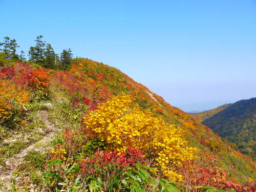 紅葉２０１１山