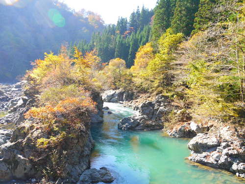 紅葉中津川