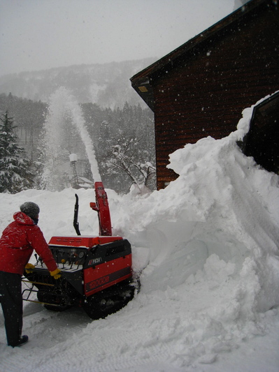 雪投機