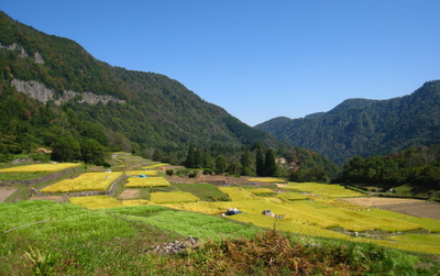 秋田んぼのサムネール画像